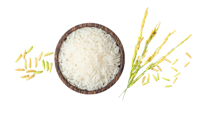 Arroz Premium 250g