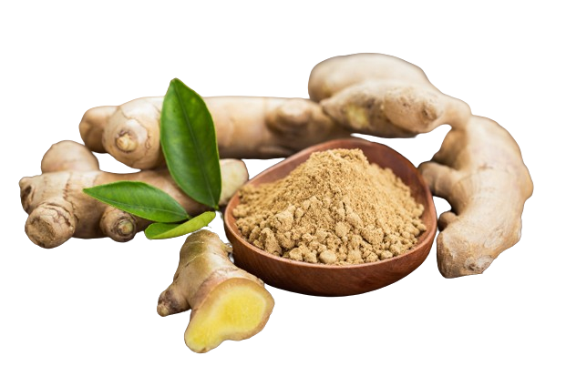 Jengibre Molido 50g
