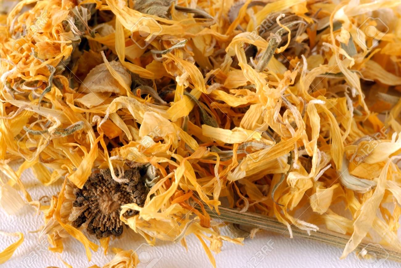 Caléndula