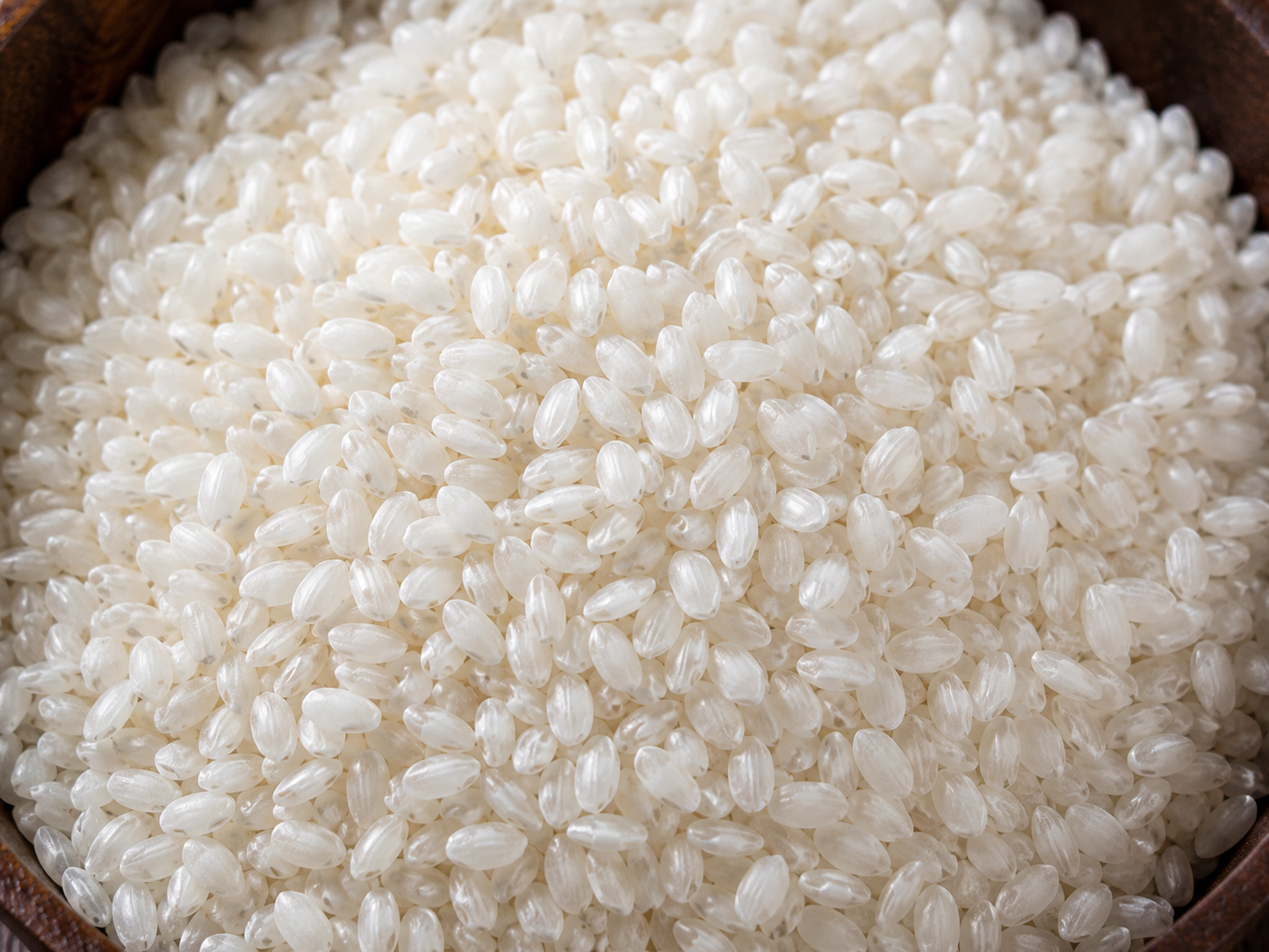 Arroz Bomba