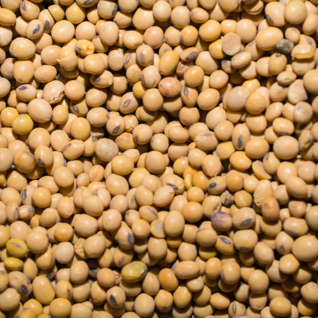 Soya