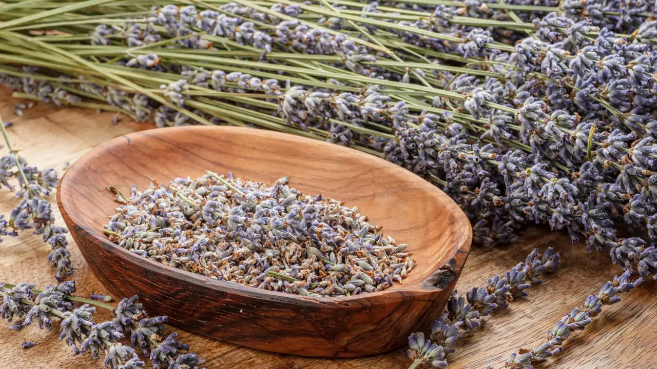 Lavanda